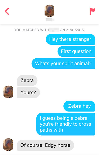102 Tinder First Message Ideas for Guys That Get Quick Responses